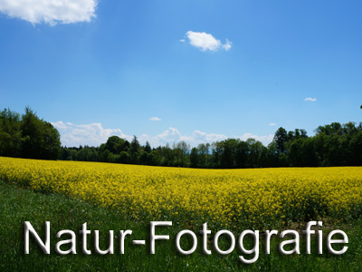 Naturfotografie