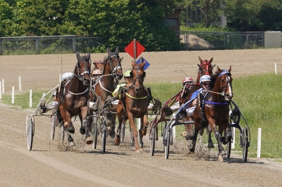 Trabrennbahn Daglfing 3_1